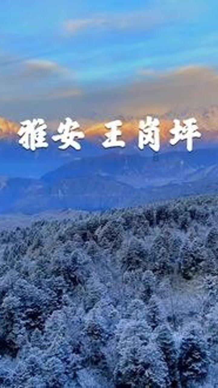 “章盟主”章建平新买进公司全年业绩大幅增长！年报窗口期，绩优股名单已提前曝光！